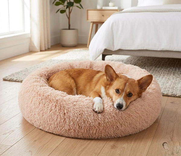 Lit Orthopédique Mémoire de Forme pour Chien & Chat — Soulage les Articulations