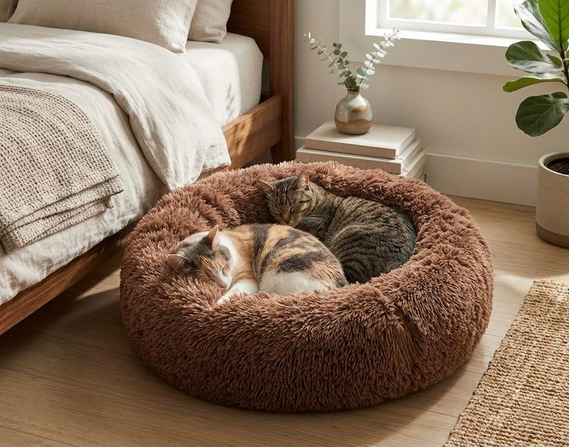 Lit Orthopédique Mémoire de Forme pour Chien & Chat — Soulage les Articulations